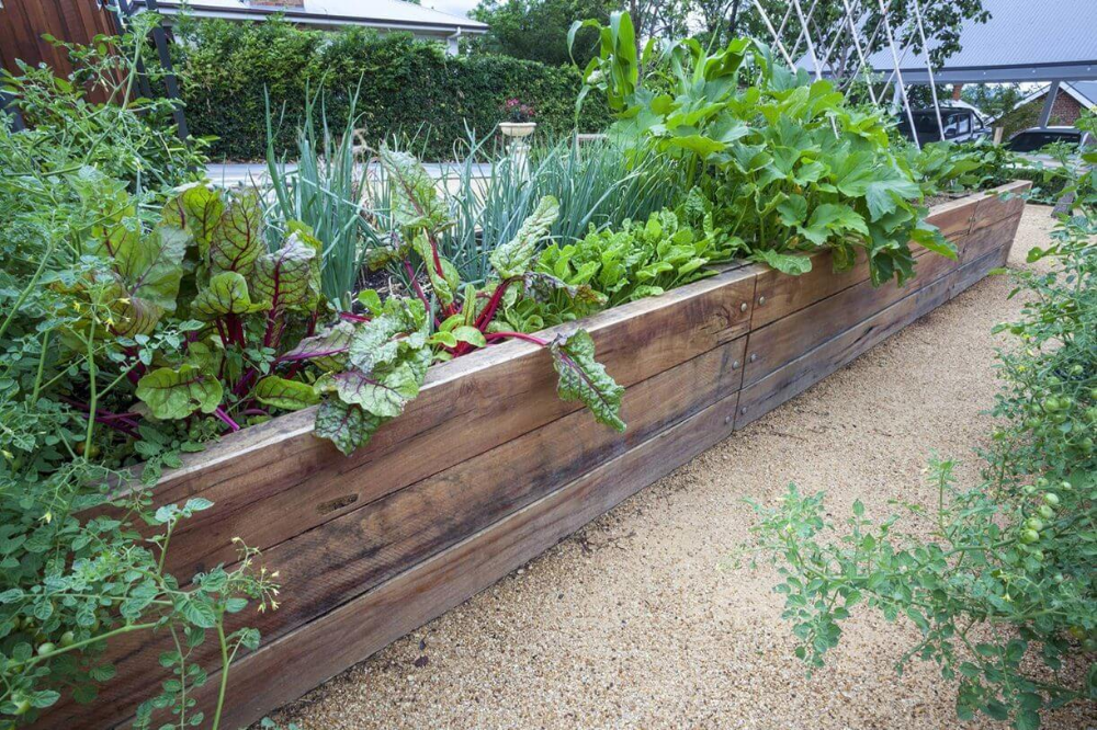 Easy Gardening Tips