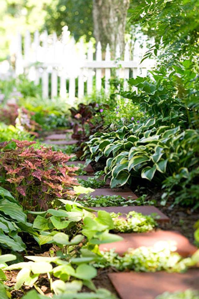 A Small Garden