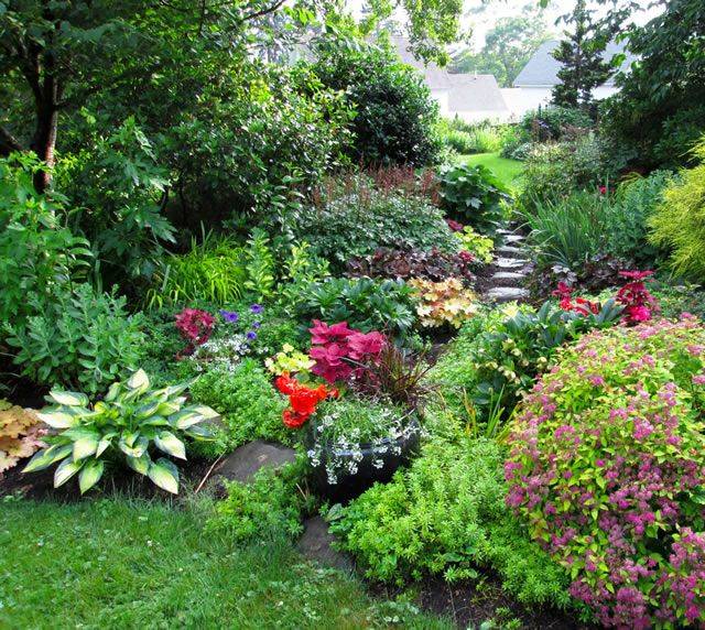 Patio Container Gardening