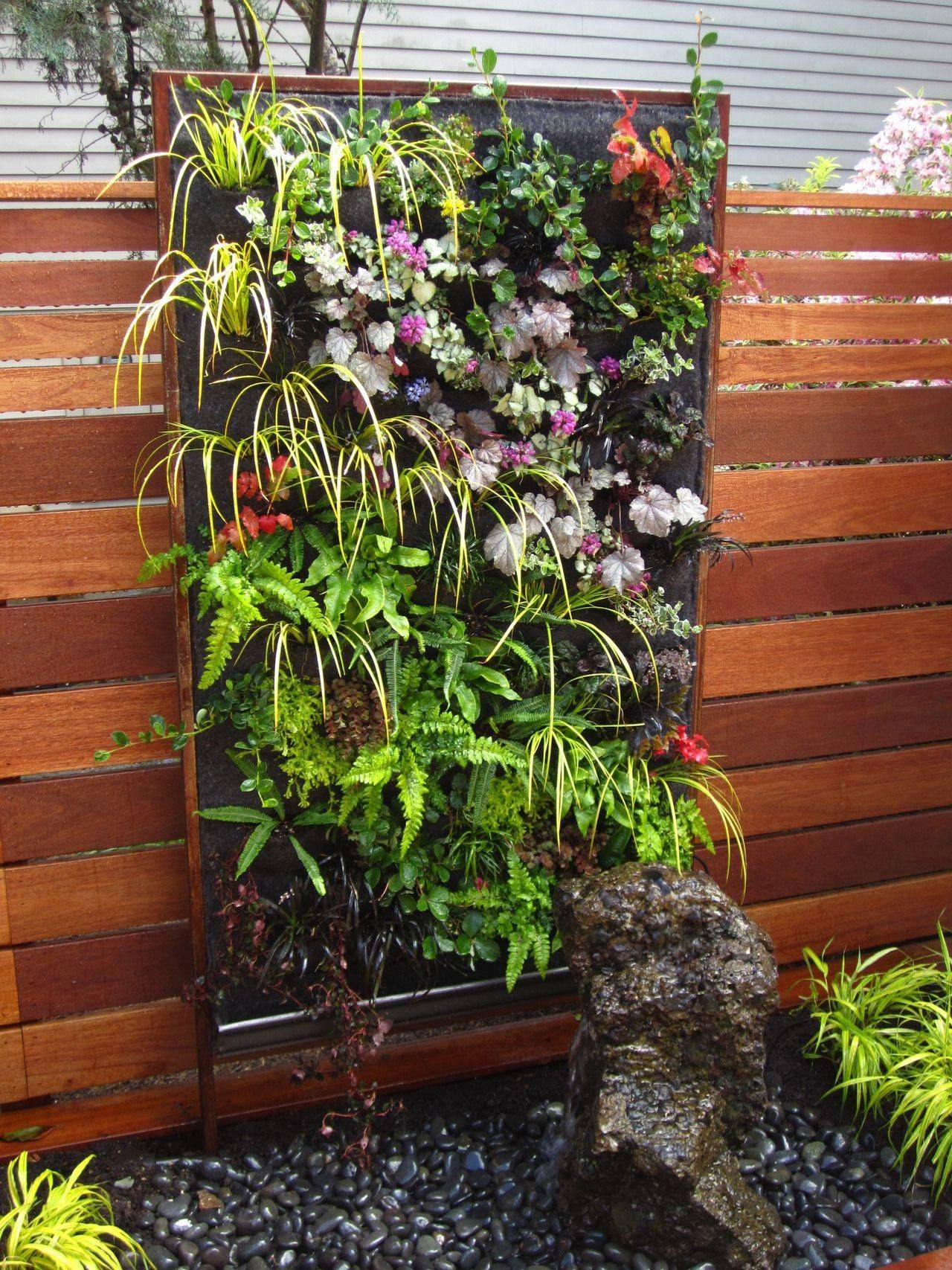 Top Potted Herbs