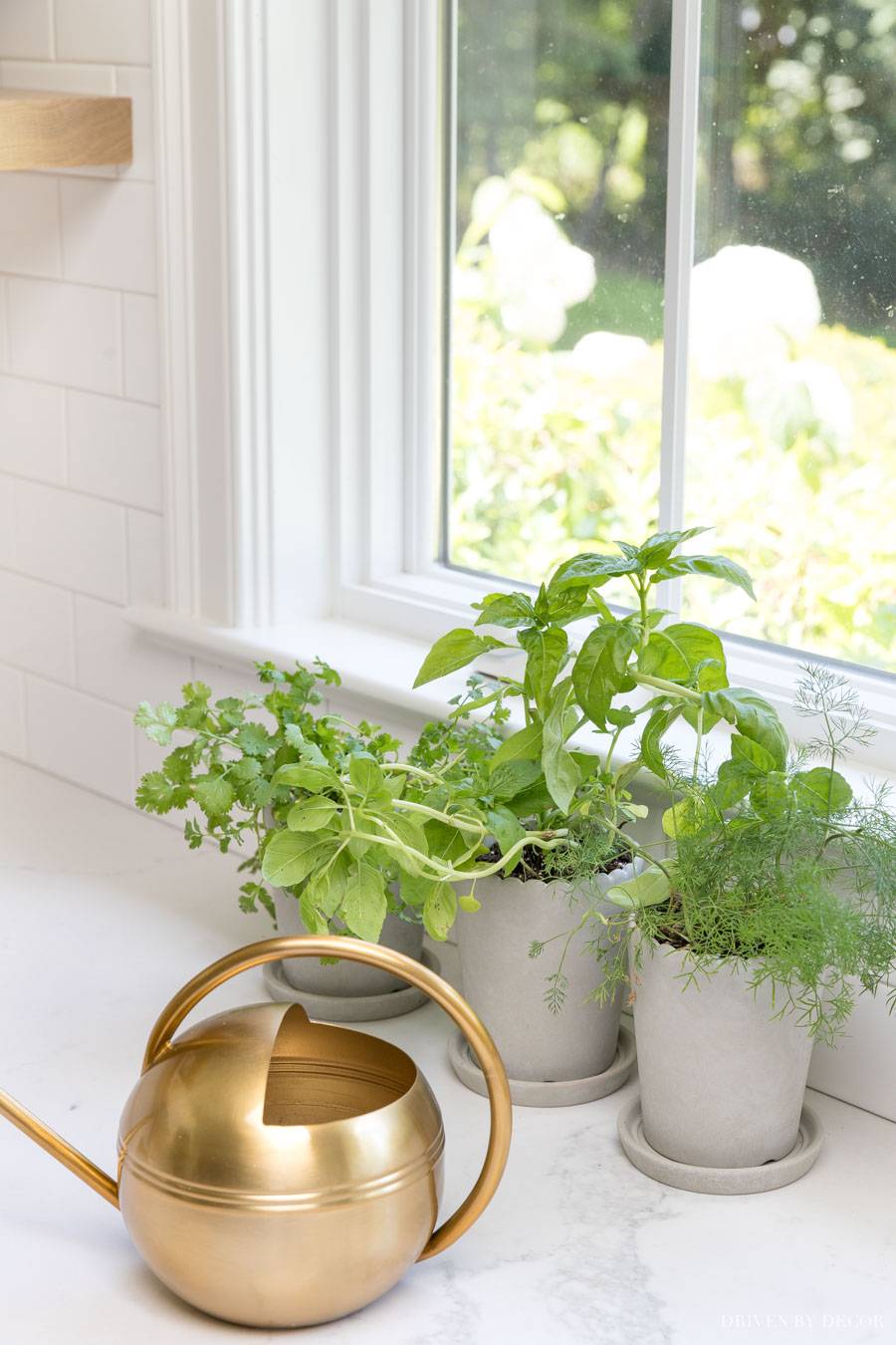 Diy Indoor Herb Garden Ideas And Planters Theyre Easy So Cute