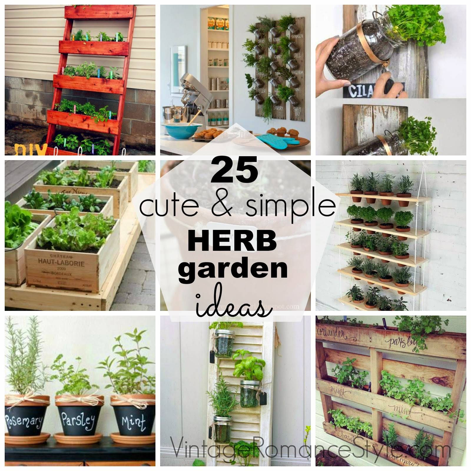 An Indoor Herb Garden Gardening Viral