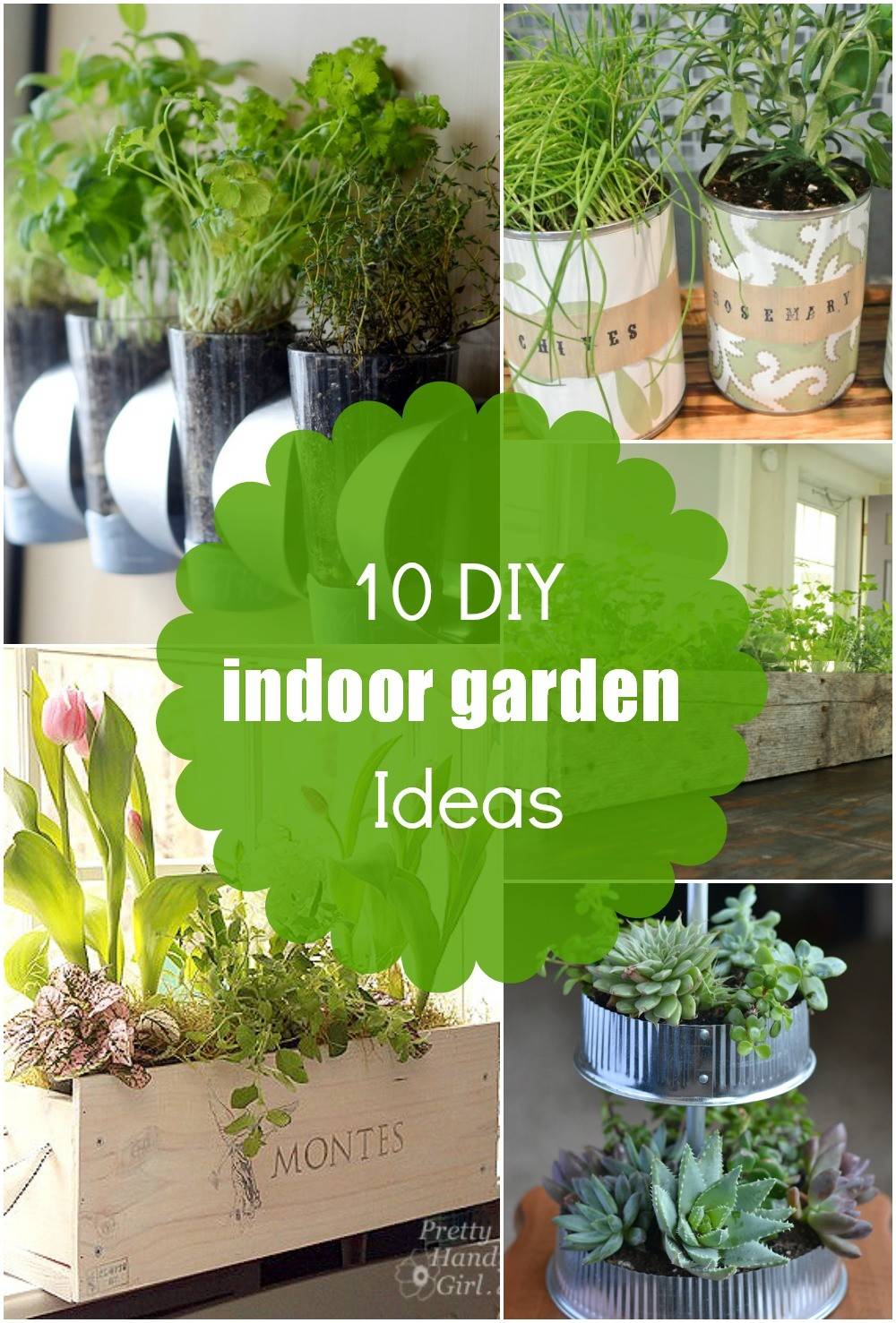 Cute Diy Indoor Herb Gardens