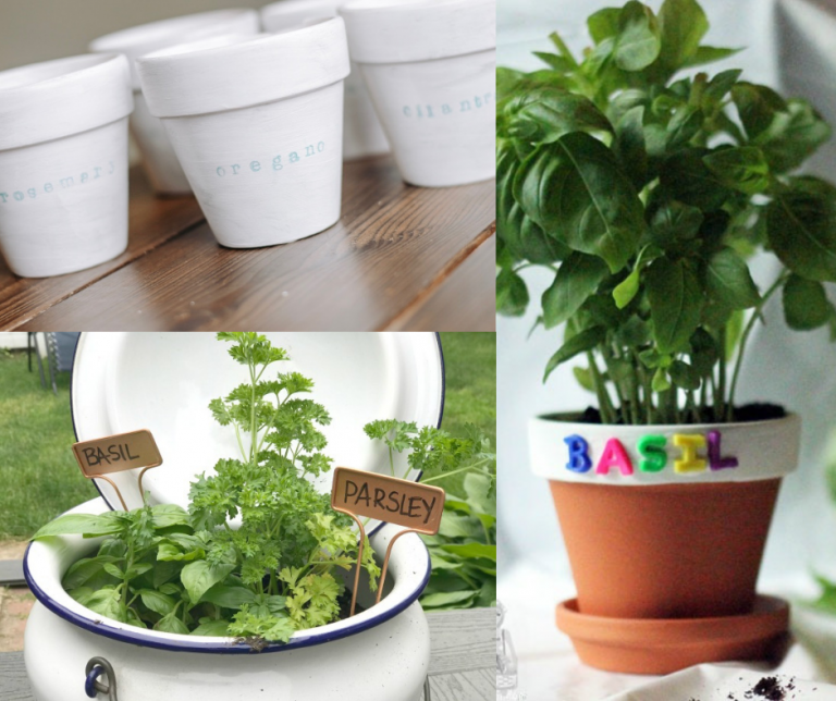 Simple Herb Garden Ideas