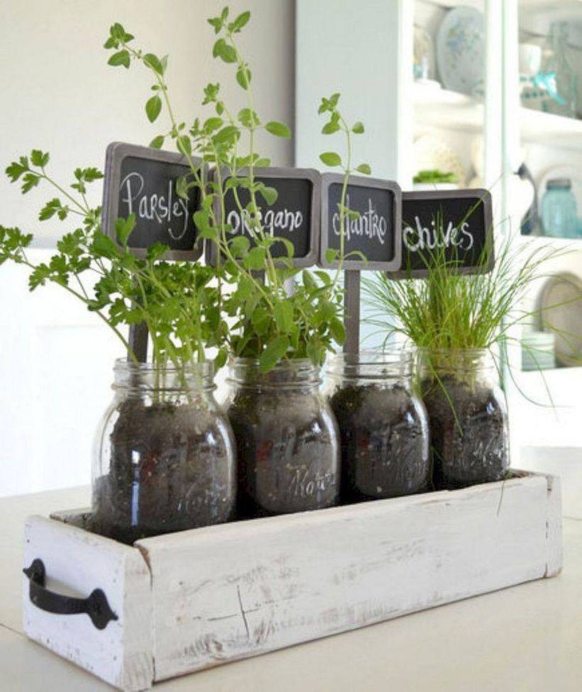 Simple Herb Garden Ideas