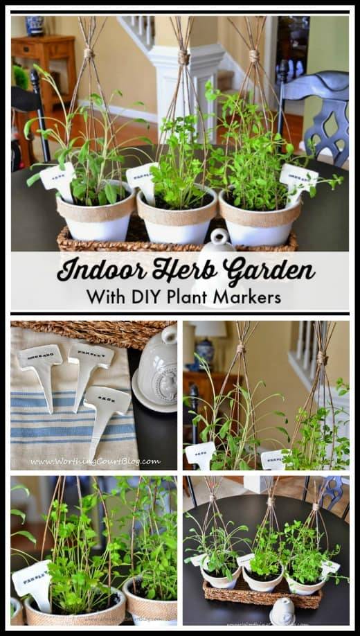 Planting Herbs Indoors