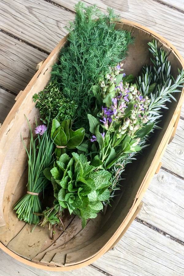 Unique Herb Planter Ideas Herb