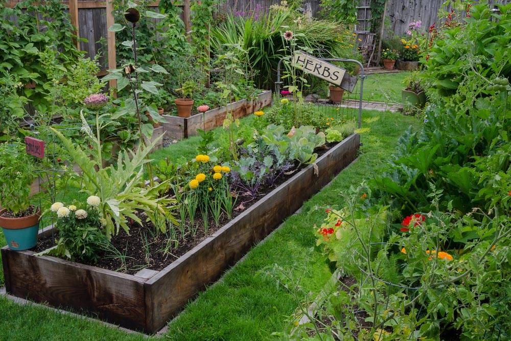 Creative Diy Herb Garden Ideas