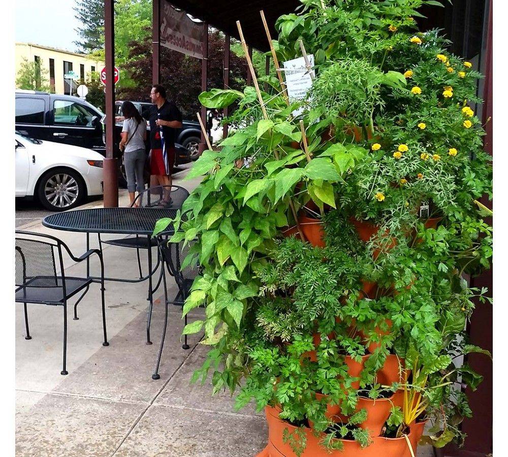 Plant Composting Container Garden