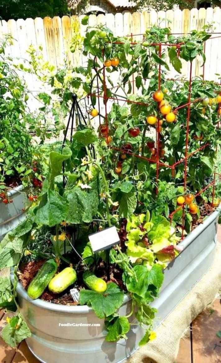 A Beautiful Small Space Garden