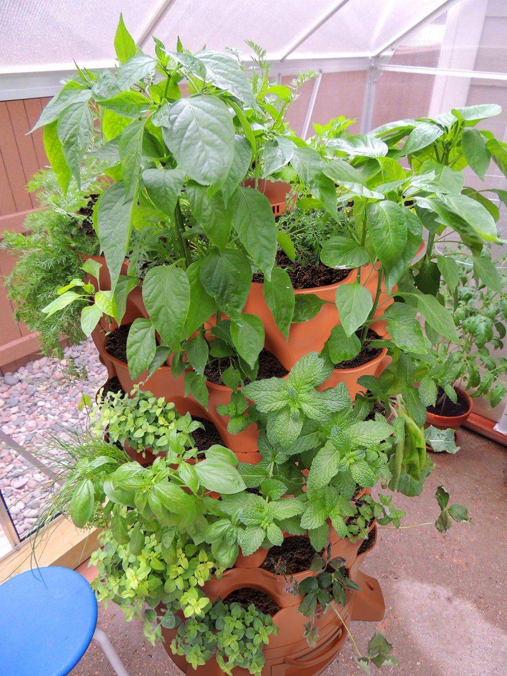 A Garden Tower Vertical Container