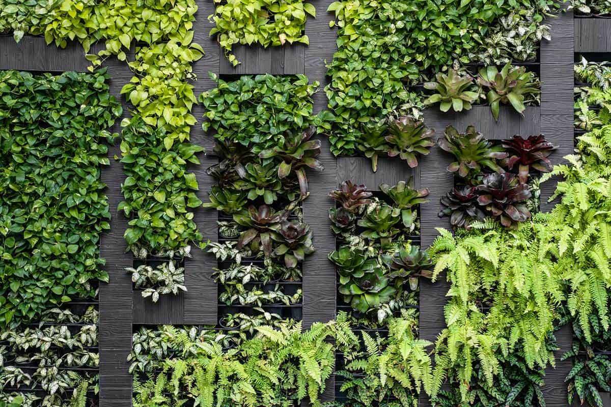 Inspiring Vertical Garden