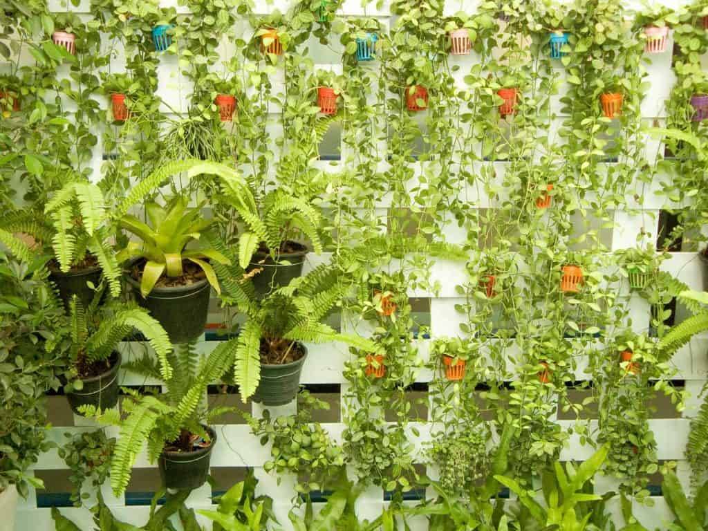 Gorgeous Outdoor Living Wall Ideas