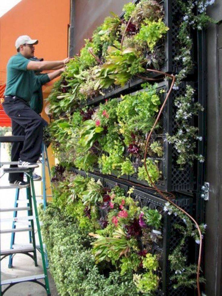 Vertical Gardening Designs