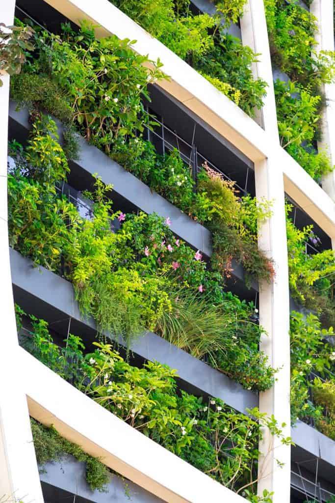 Vertical Gardening Designs
