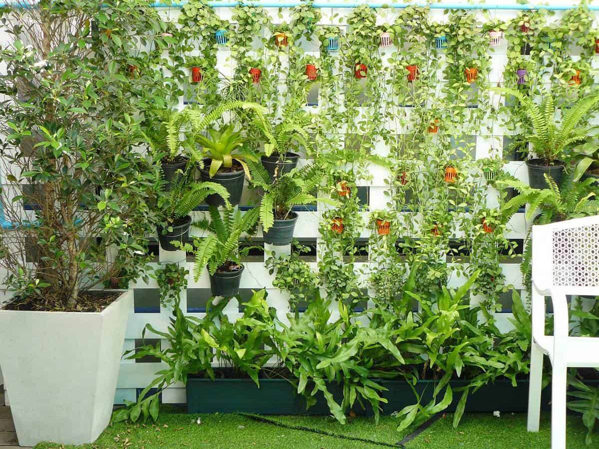 Exquisite Small Backyard Landscaping Ideas Decorative Inspiration