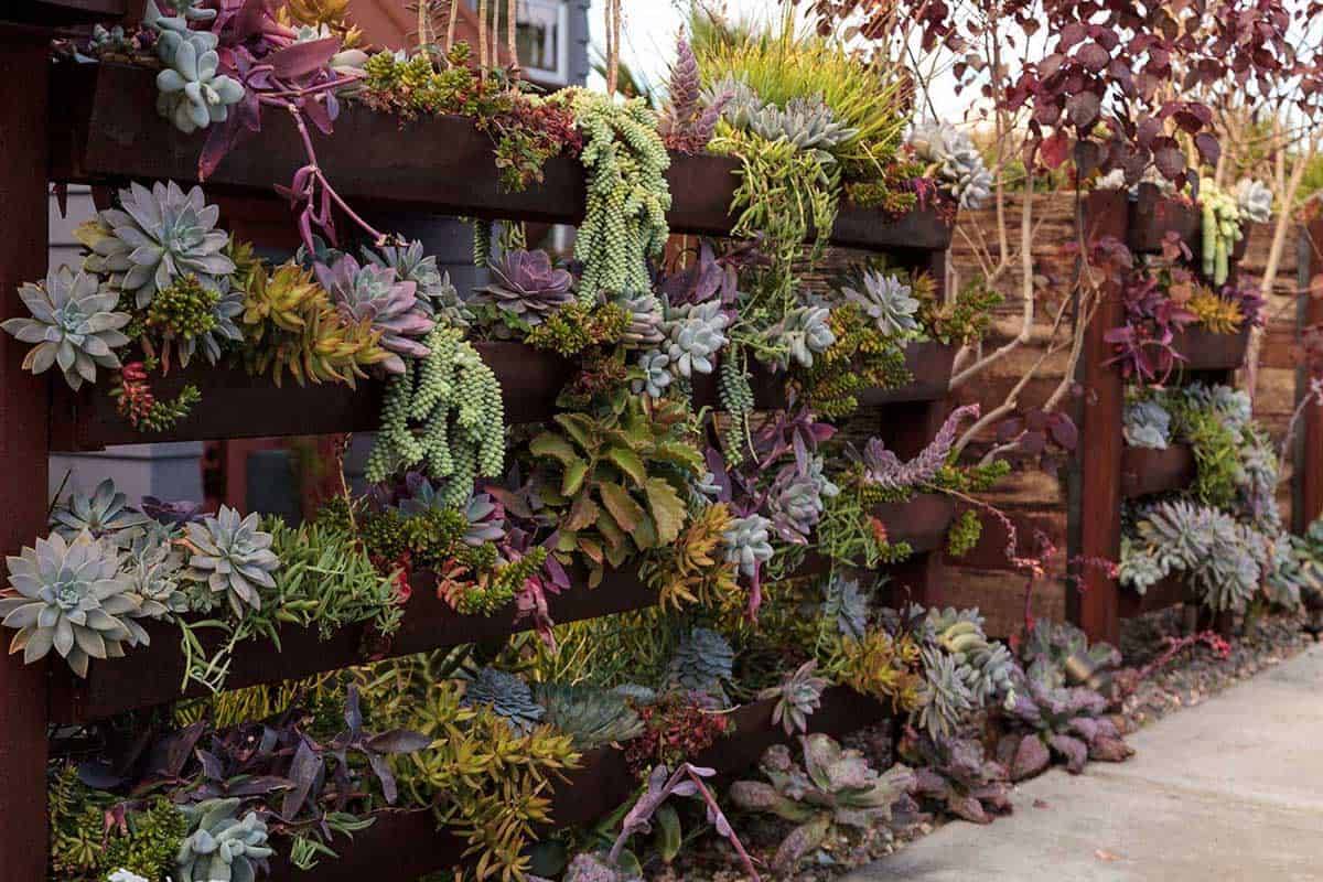 Awesome Vertical Garden Inspiration