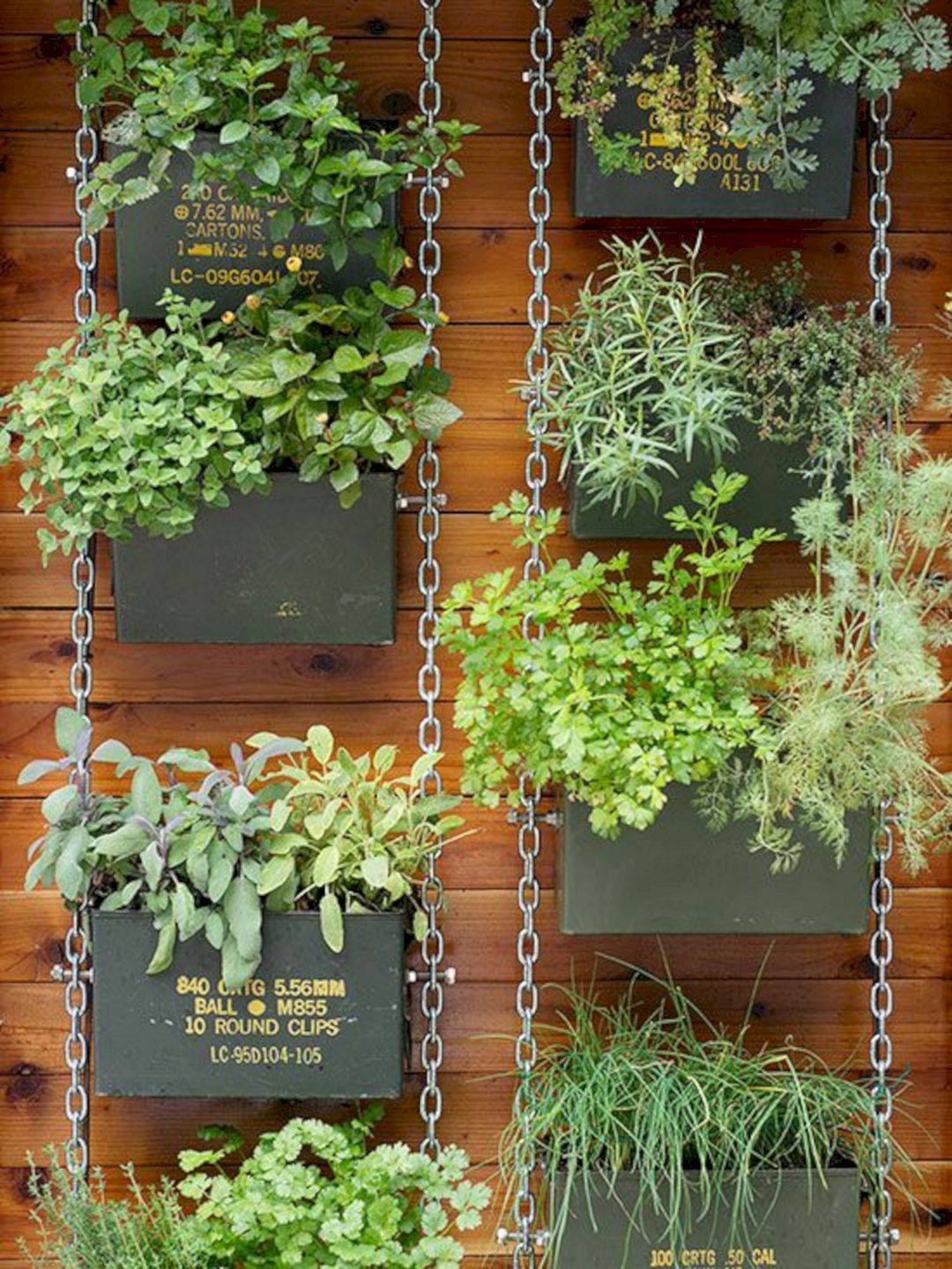 Inspiring Vertical Garden Ideas