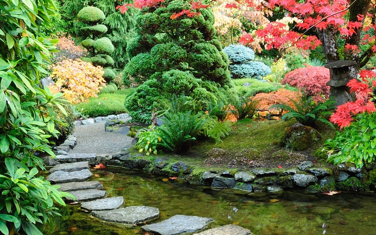 Autumn Dream Garden