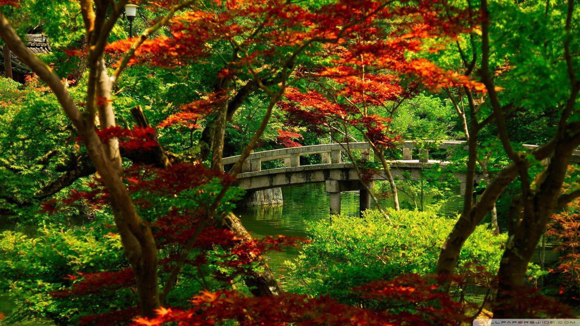 Japanese Gardens Wallpapers Wallpaper Cave