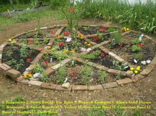 And Author A Witchs Garden Home Decor