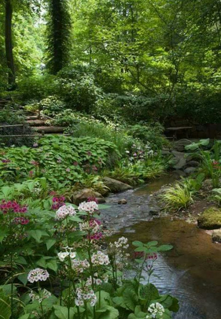 And Author A Witchs Garden Home Decor