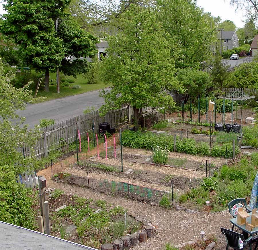 Home Vegetable Garden