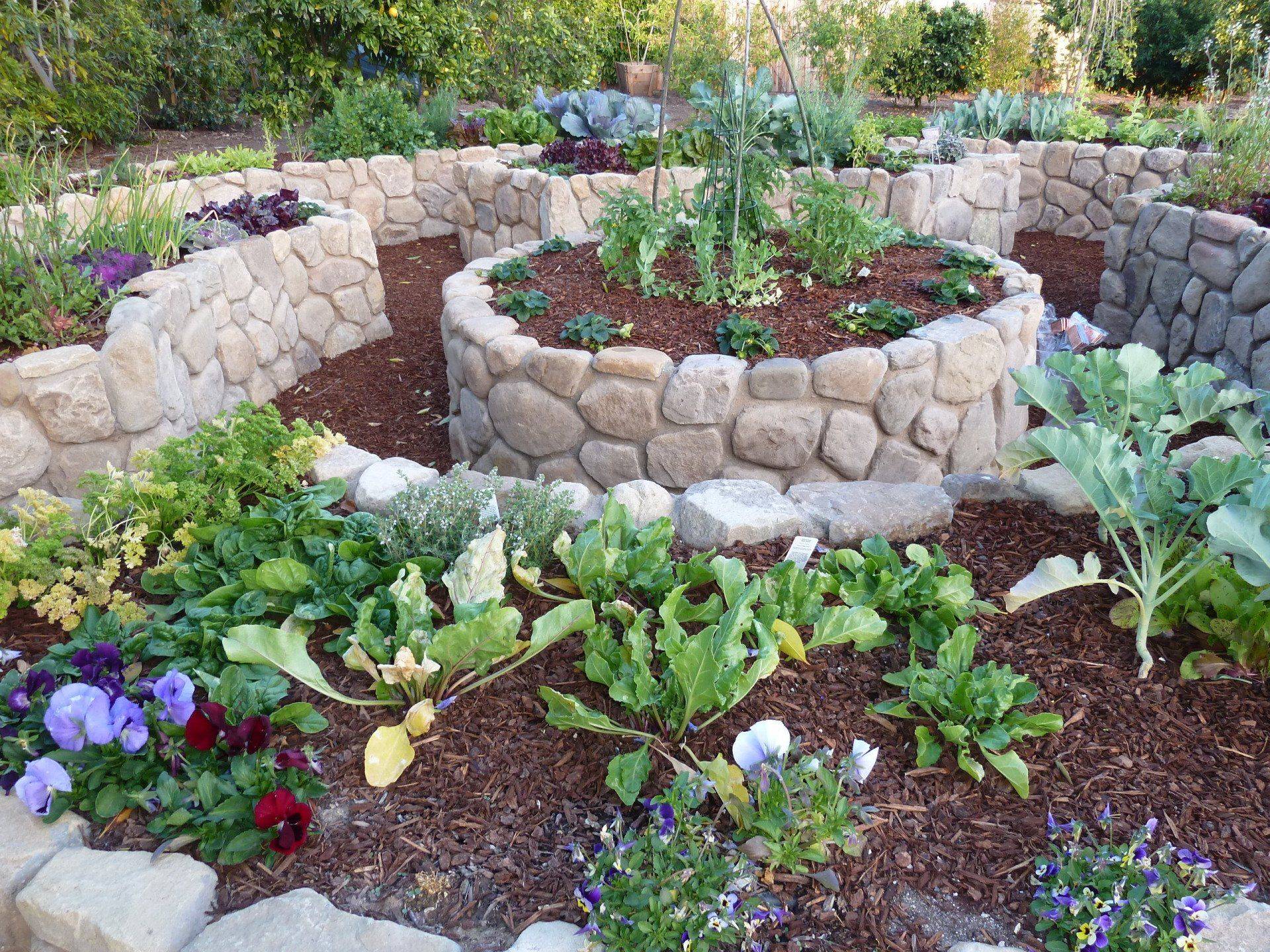 Front Edible Garden