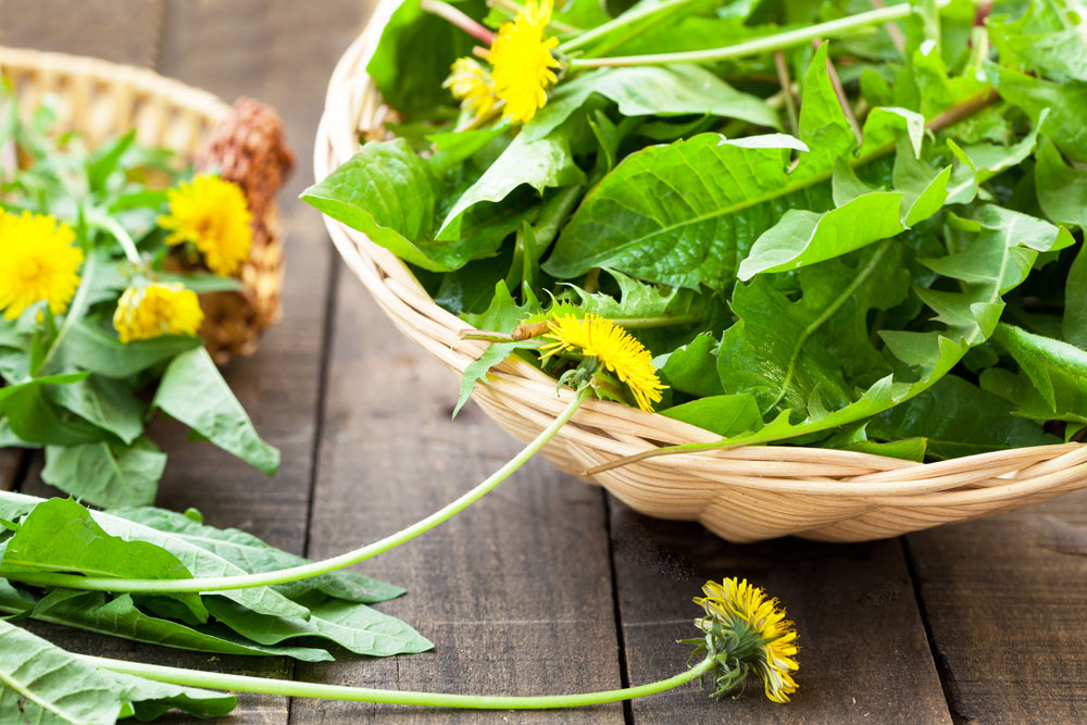 Edible Spring Weeds Kitchn