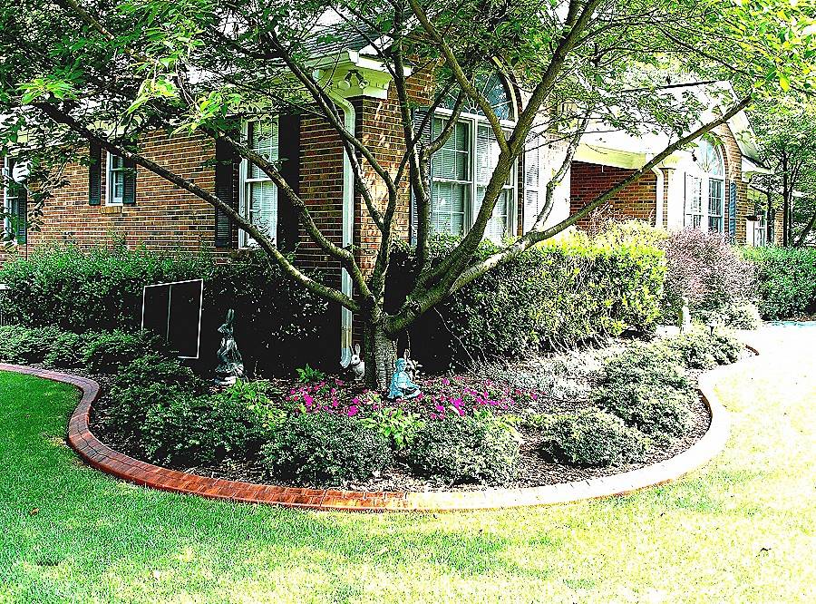 Beautiful Backyards Beautiful Backyards Backyard Landscaping