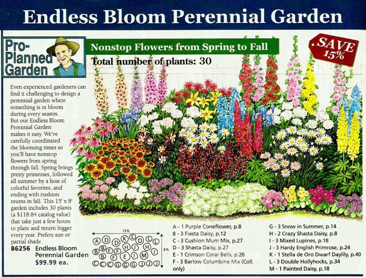 Awesome Flower Garden Layout