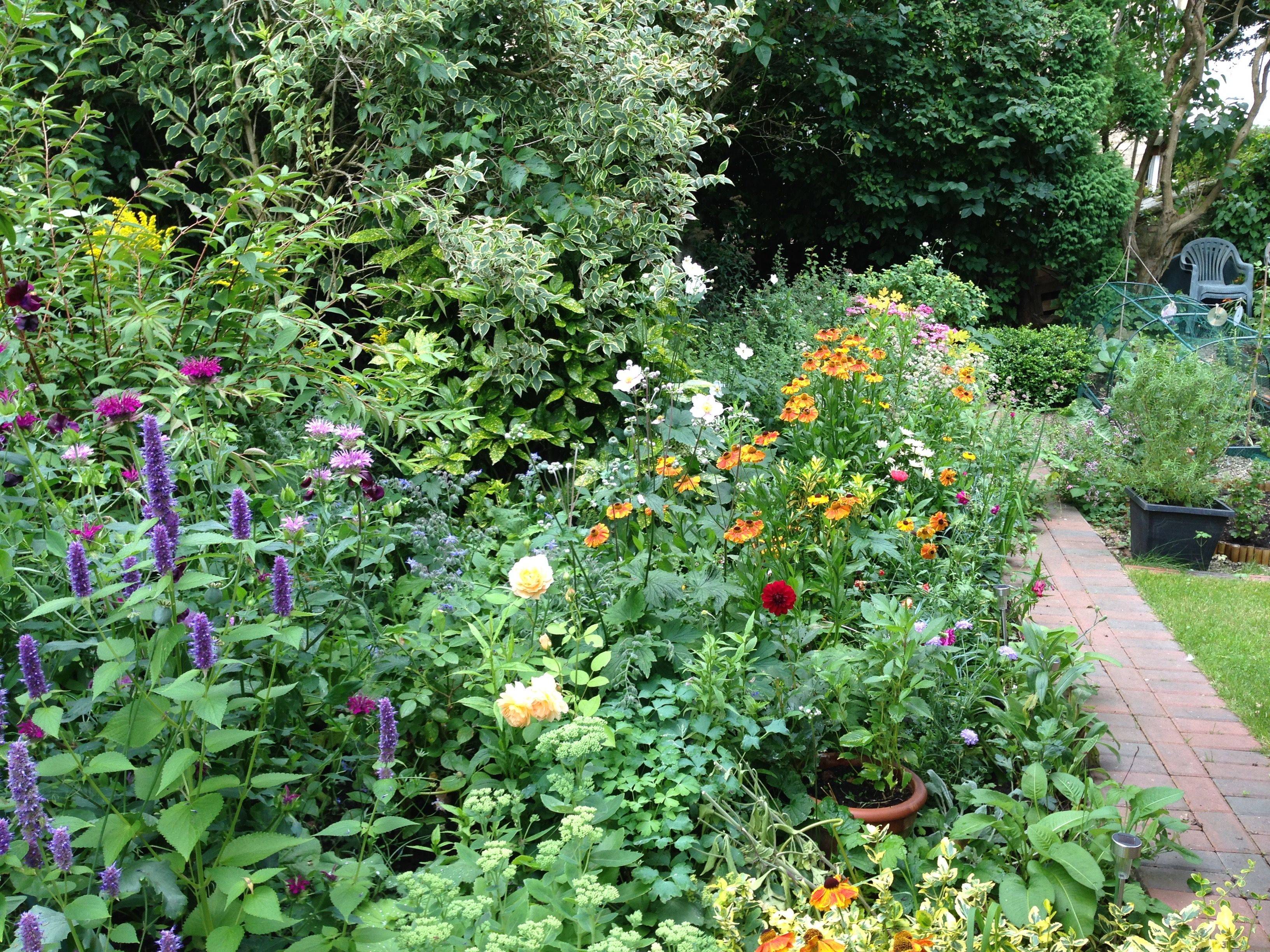 Perennial Garden Plans