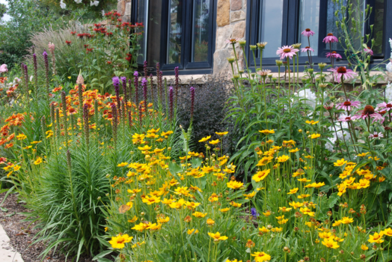 Perennial Garden Plans