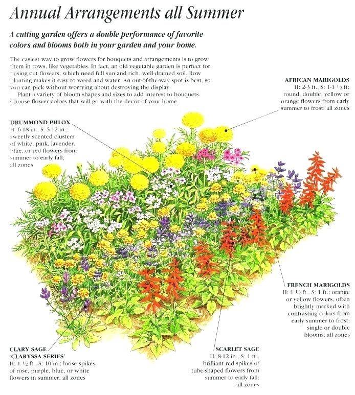 Heat Loving Garden Plan Gardenplanningideas Flower Garden Plans