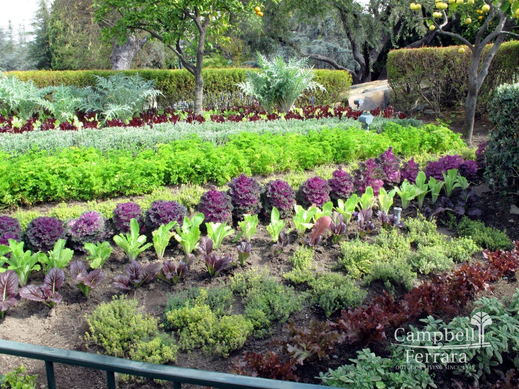 Edible Landscaping Plantmaster Blog