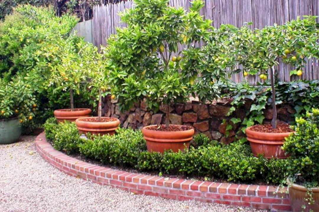 Your Best Edible Garden