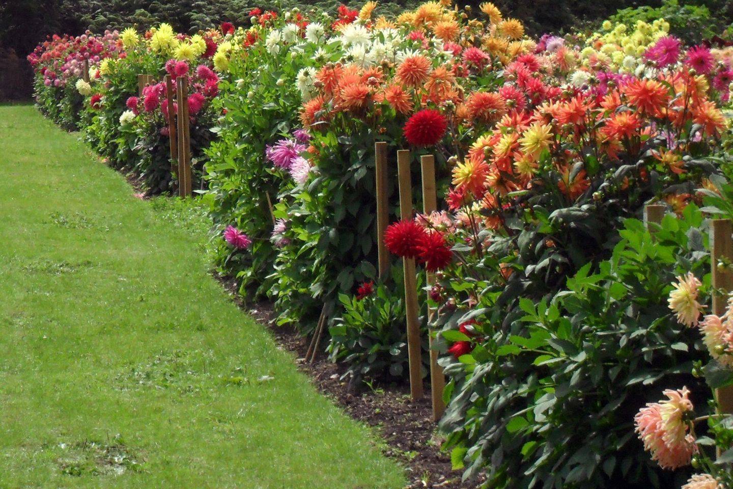 Wonderful Whimsical Garden Ideas Page