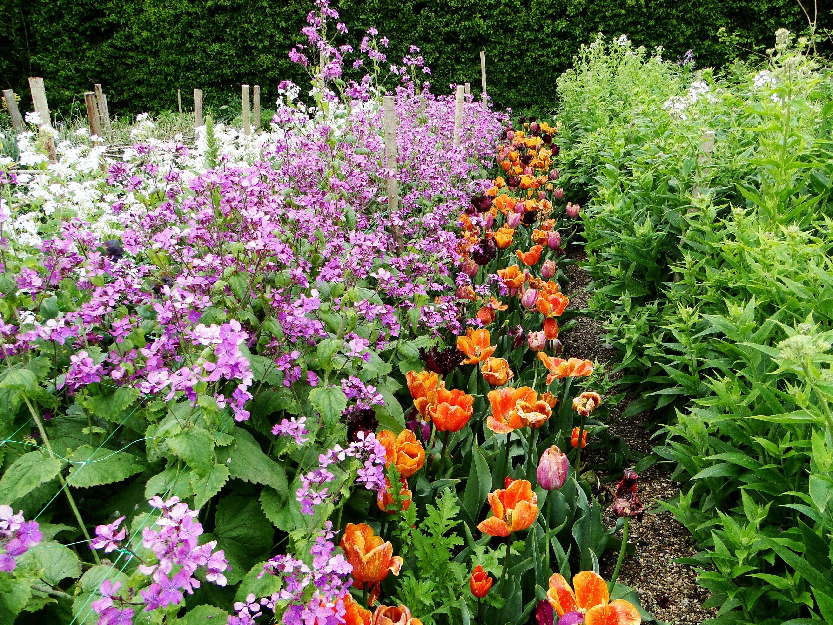 Small Space Cut Flower Garden Ideas