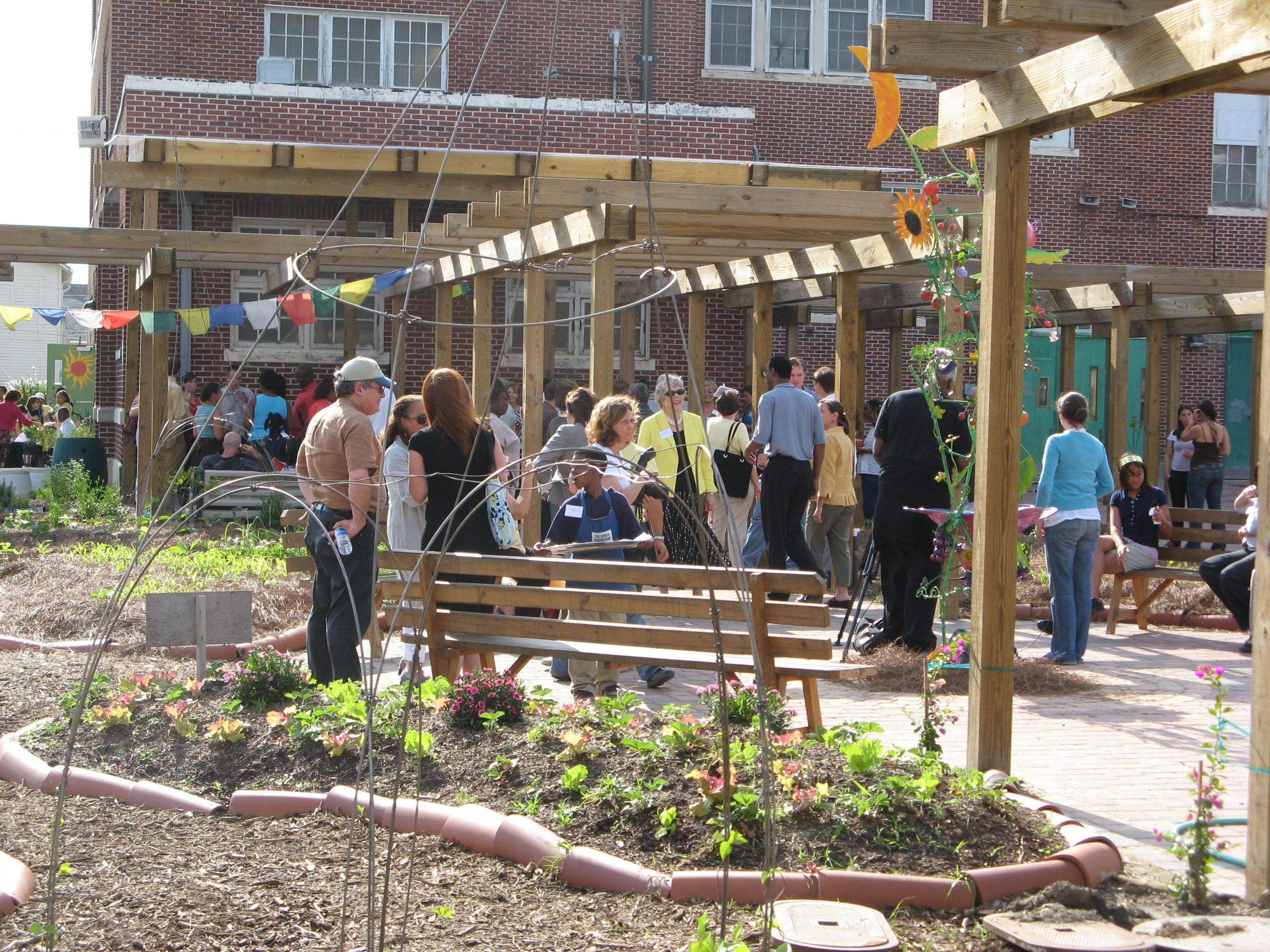 Edible Garden Emily Foord Kindergarten