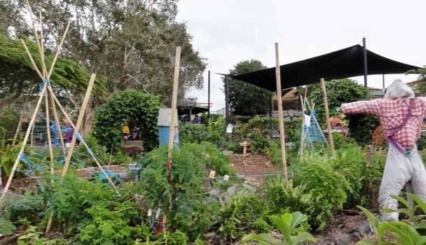 Edible Schoolyard Spontaneousinterventions