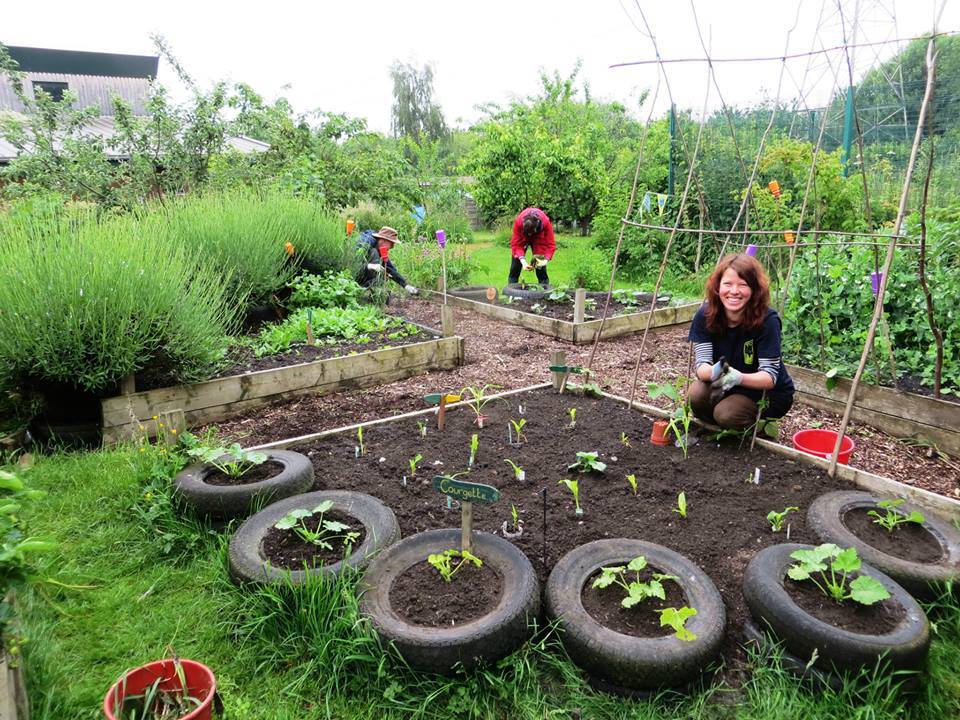 Edible School Gardens