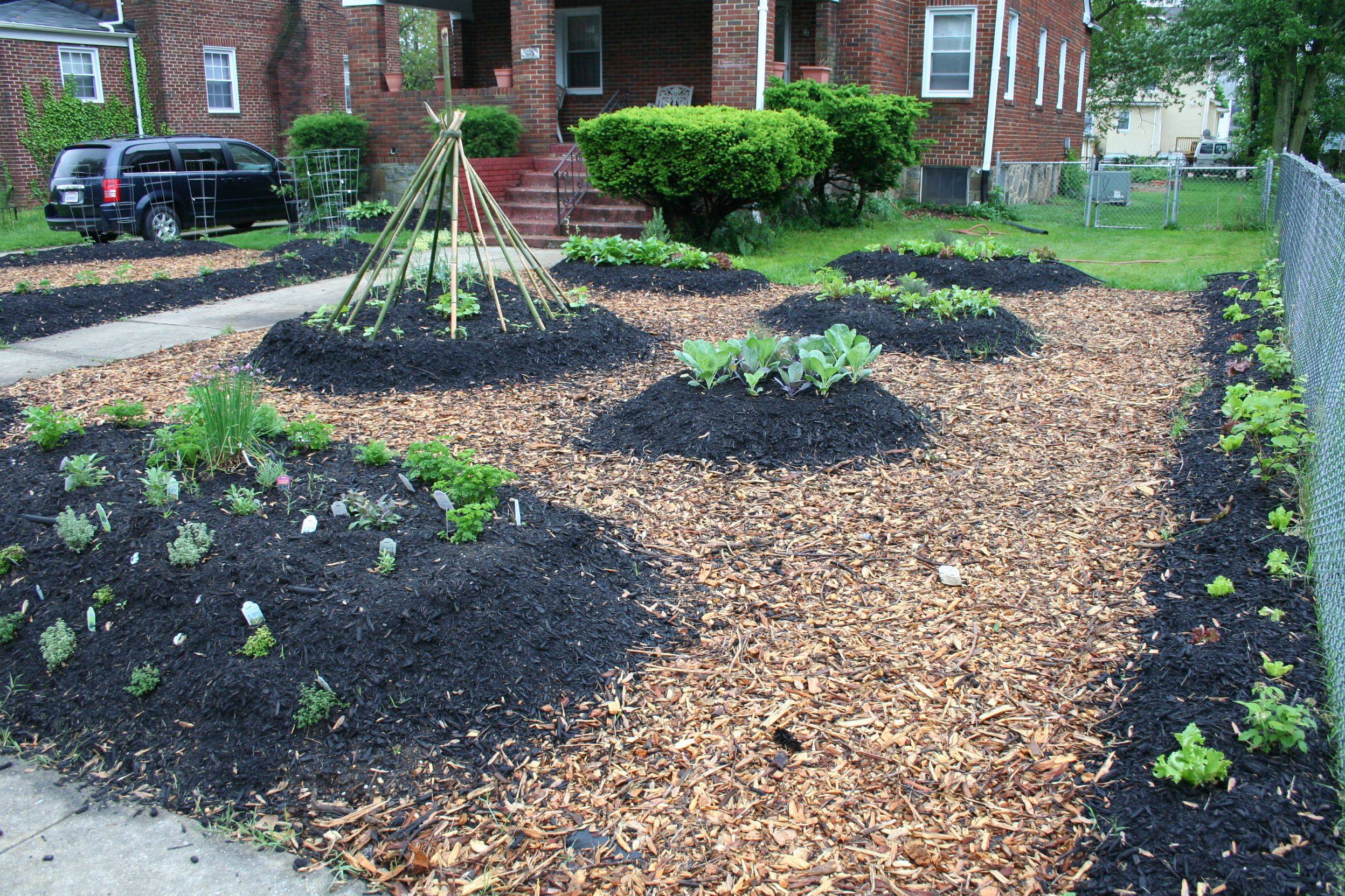 Edible Schoolyard Program