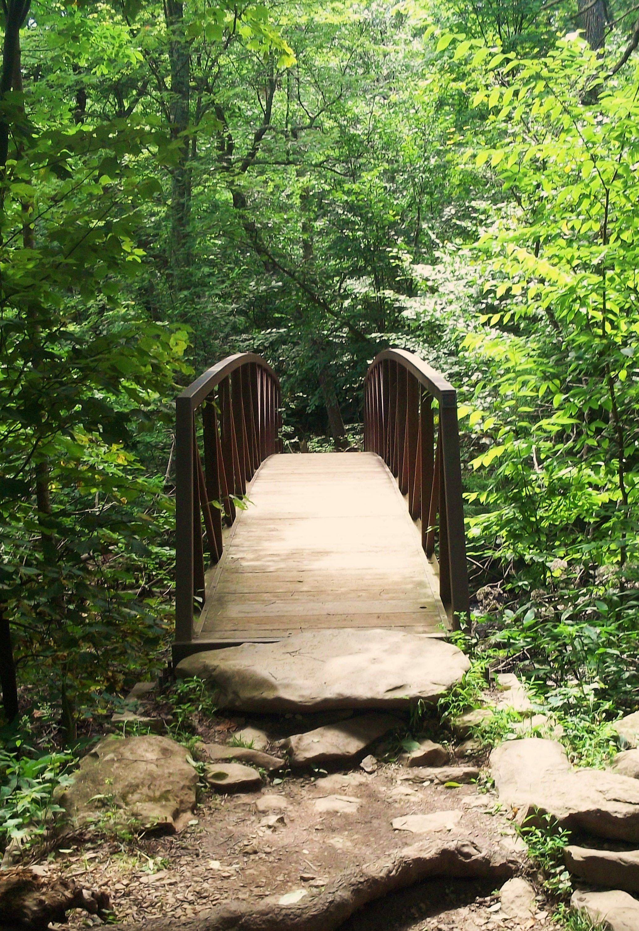 Timber Pedestrian Bridge