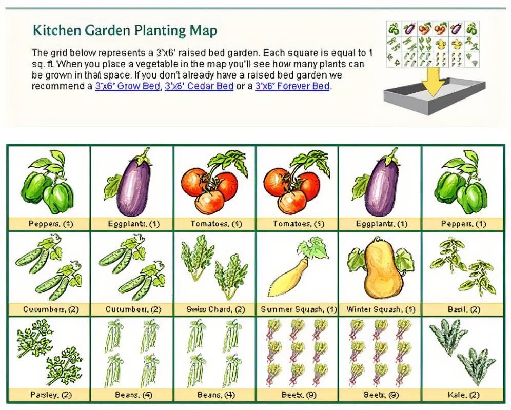 Backyard Kitchen Garden Ideas