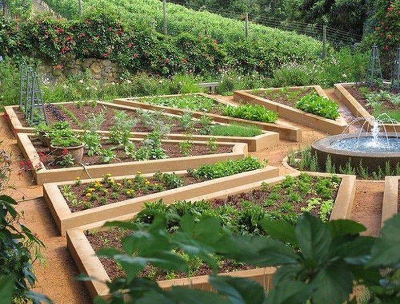 A Kitchen Garden
