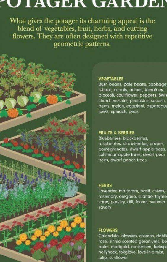 Small Kitchen Garden Ideas