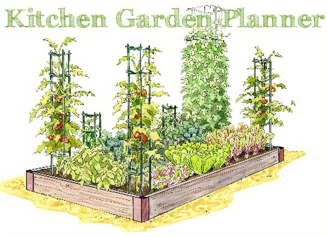 Kitchen Garden Designs