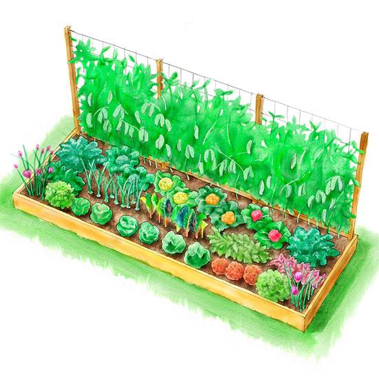 New Kitchen Garden Planner