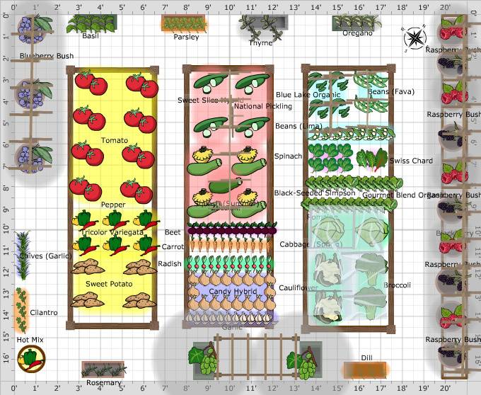 The White House Kitchen Garden Garden