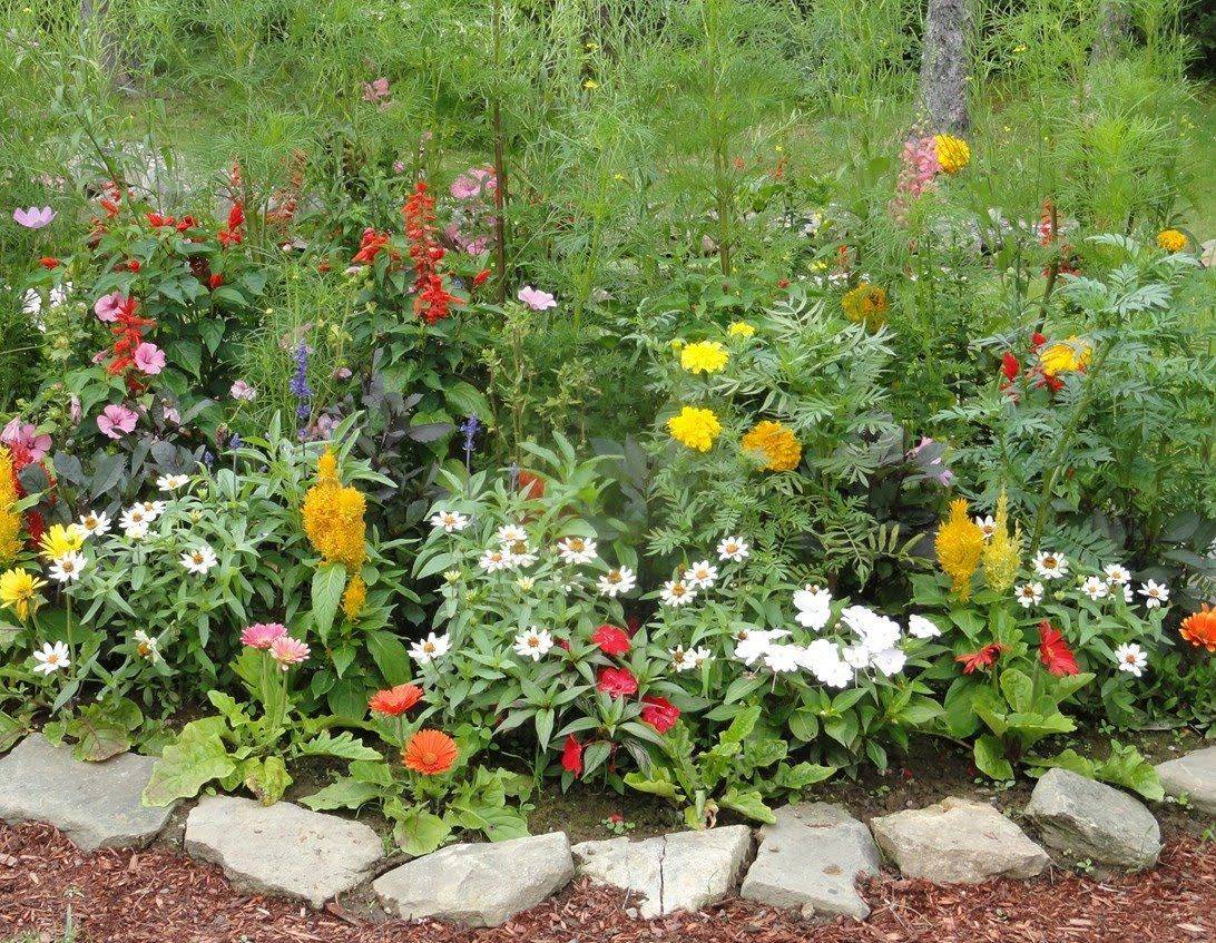 Flower Rock Garden Ideas